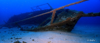Gallery Coral Sub