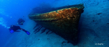 Gallery Coral Sub