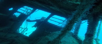 Gallery Coral Sub